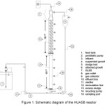 Figure 1: Schematic diagram of the HUASB reactor