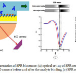 Figure 2: Schematic representation of SPR biosensor: (a) optical set-up of SPR sensor combined with flow system, (b) CCD camera before and after the analyte binding, (c) SPR response versus time. 