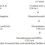 Figure 1: Flowchart of essential fatty acid metabolism (Steffens dan Wirth, 2005)