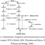 Figure 3: Desaturation, elongation and retroconversion of omega-6 and omega-3 PUFA (Holub, 2002; Wijendran and Hayes, 2004; Williams and Burdge, 2006).