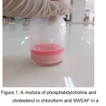 Figure 1: A mixture of phosphatidylcholine and cholesterol in chloroform and SWEAF in a phosphate buffer solution pH 7.4 after sonication