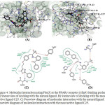 Figure 4: Molecular interaction using FlexX at the PPARγ receptor (1fm9) binding pocket A) Stereoview of docking with the natural ligand. B) Stereoview of docking with the most active ligand C25. C) Poseview diagram of molecular interaction with the natural ligand. D)