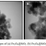 Figure 1: TEM images of (a) Fe3O4@SiO2 (b)Fe3O4@SiO2@(CH2)3N +Me3I3-.