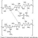 Figure 2: Interaction among cellulose, glycerol, and chitosan