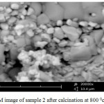 Figure 6: SEM image of sample 2 after calcination at 800°C