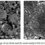 Figure 2: SEM image of (a) fresh and (b) used catalyst NiCu31/ BZR