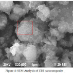 Figure 4: SEM Analysis of ZTS nanocomposite