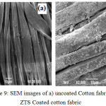 Figure 9: SEM images of a) uncoated Cotton fabric b) ZTS Coated cotton fabric