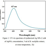 Figure 1: UV-vis spectrum of synthesized Ag NPs (1 mM of AgNO3 concentration, 5 ml of B. multifida extract, at room temperature, 1h)
