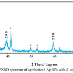 Figure 5: PXRD spectrum of synthesized Ag NPs with B. multifida extract