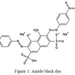 Figure 1: Amido black dye