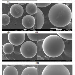 Figure 11: SEM of Amberlite IR 120 H+ resin(a) before and (b) after adsorption the studied organic compounds.