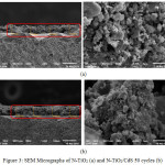Figure 3: SEM Micrographs of N-TiO2 (a) and N-TiO2/CdS 50 cycles (b)