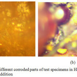 Figure 7: (a and b): Different corroded parts of test specimens in HNO3 without the combined inhibitors addition