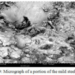Figure 9: Micrograph of a portion of the mild steel sample.