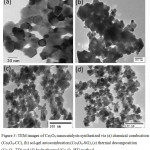 Figure 3: TEM images of Co3O4 nanocatalysts synthesized via (a) chemical combustion (Co3O4-CC), (b) sol-gel autocombustion (Co3O4-SG), (c) thermal decomposition (Co3O4-TD) and (d) hydrothermal (Co3O4-HT) method