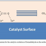 Figure 5: Mechanism for the catalytic oxidation of formaldehyde on the surface of Co3O4 nano catalyst