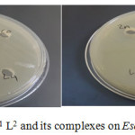 Figure 11: The effect of L1 L2 and its complexes on Escherichia coli.