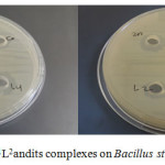 Figure 13: The effect of L1L2andits complexes on Bacillus stubtilis.