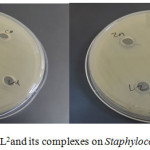 Figure 14: The effect of L1 L2and its complexes on Staphylococcus aureus.