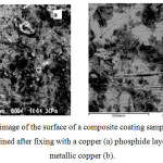 Figure 4: Electronic image of the surface of a composite coating sample with a nonmetallic graphite phase, obtained after fixing with a copper (a) phosphide layer and after applying metallic copper (b).