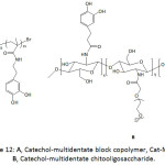 Figure 12: A, Catechol-multidentate block copolymer, Cat-MDBC; B, Catechol-multidentate chitooligosaccharide.