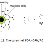 Figure 13: The core-shell PDA-IOPN/AO-PAN.