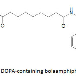 Figure 14: DOPA-containing bolaamphiphilic molecule.