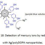Figure 18: Detection of mercury ions by reduction with Ag/polyDOPA nanoparticles.