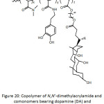Figure 20: Copolymer of N,N’-dimethylacrylamide and comonomers bearing dopamine (DA) and cholic acid (CA) units.