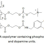 Figure 8: A copolymer containing phosphorylcholine and dopamine units.