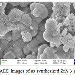Figure 3a: TEM, (b) SEM (c) SAED images of as synthesized ZnS 3 sample