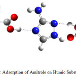 Figure 1: Adsorption of Amitrole on Humic Substances