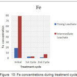 Figure 10: Fe concentrations during treatment cycle