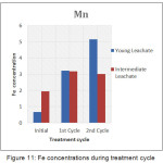 Figure 11: Fe concentrations during treatment cycle