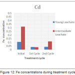 Figure 12: Fe concentrations during treatment cycle