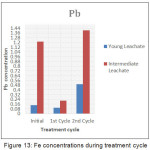 Figure 13: Fe concentrations during treatment cycle