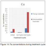 Figure 14: Fe concentrations during treatment cycle