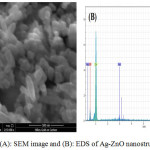 Figure 6: (A): SEM image and (B): EDS of Ag-ZnO nanostructure powder.