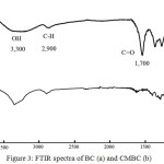Figure 3: FTIR spectra of BC (a) and CMBC (b)