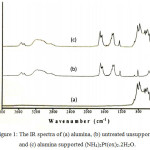 Figure 1: The IR spectra of (a) alumina, (b) untreated unsupported, and (c) alumina supported (NH4)2Pt(ox)2.2H2O.