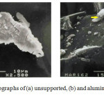 Figure 2: Electron micrographs of (a) unsupported, (b) and alumina supported (NH4)2Pt(ox)2.2H2O. An arrow points toward (NH4)2Pt(ox)2.2H2O on the surface of alumina.