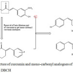 Figure 1: Structure of curcumin and mono-carbonyl analogues of curcumin (a) CBCH and (b) DBCH