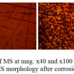Figure 6: Optical images of MS at mag. x 40 and x 100 (a) MS morphology before corrosion, (b) MS morphology after corrosion in 3.5% NaCl