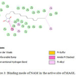 Figure 3: Binding mode of NAM in the active site of MAGL enzyme.
