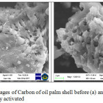 Figure 2: SEM images of Carbon of oil palm shell before (a) and after (b) chemically activated.