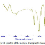 Figure 1: Infrared spectra of the natural Phosphate steamed at 100°C.
