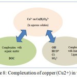 Figure 8: Complexation of copper (Cu2+) in water