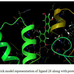 Figure 2: Ball and stick model representation of ligand 28 along with protein 1E9Y.