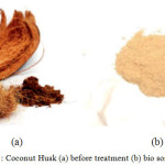 Figure 1: Coconut Husk (a) before treatment (b) bio sorbent